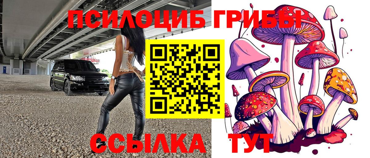 Казань  Псилоцибиновые грибы Psilocybine cubensis  Псилоцибиновые грибы Magic Shrooms  Вход с VPN 