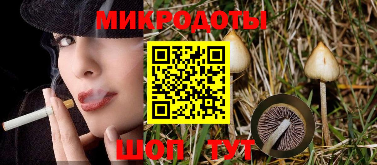 Галлюциногенные грибы мицелий Казань