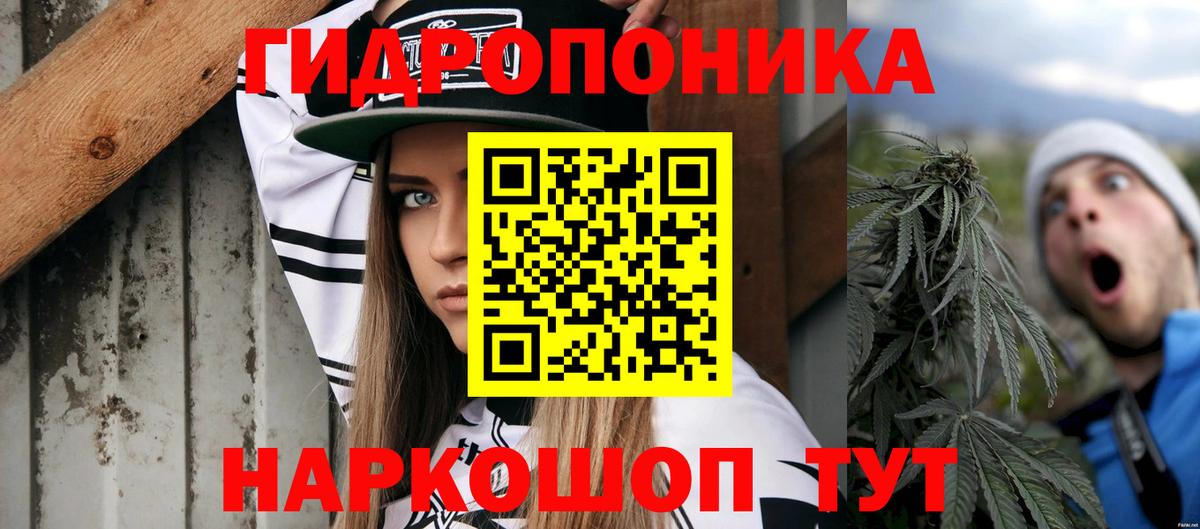 Конопля гибрид Казань